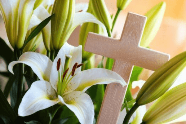 A white flower with green leaves and a wooden cross to the right.